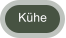 Kühe