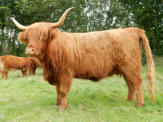 Iseabal 20th of Carsaig 